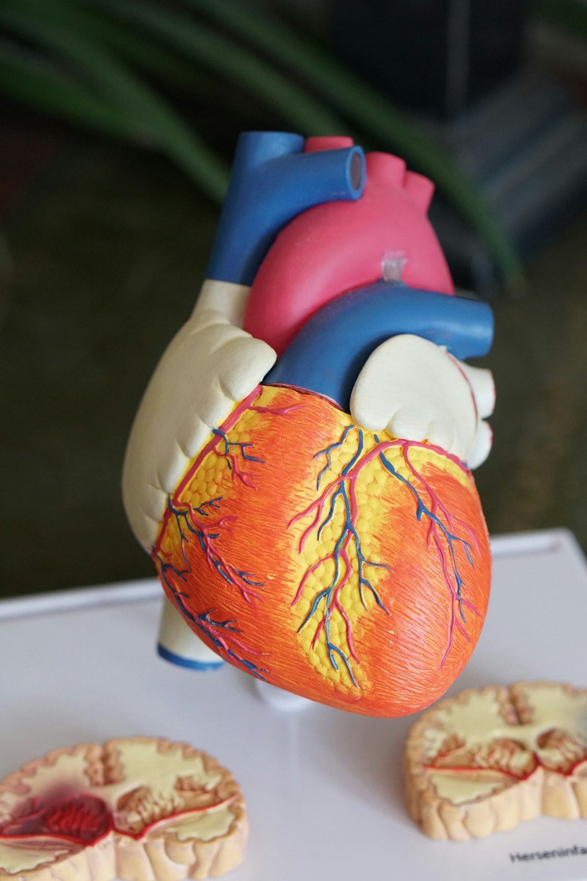 Análises Microbiológicas